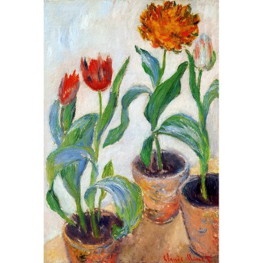 Three Pots of Tulips - Monet